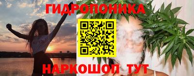 меф Гатчина