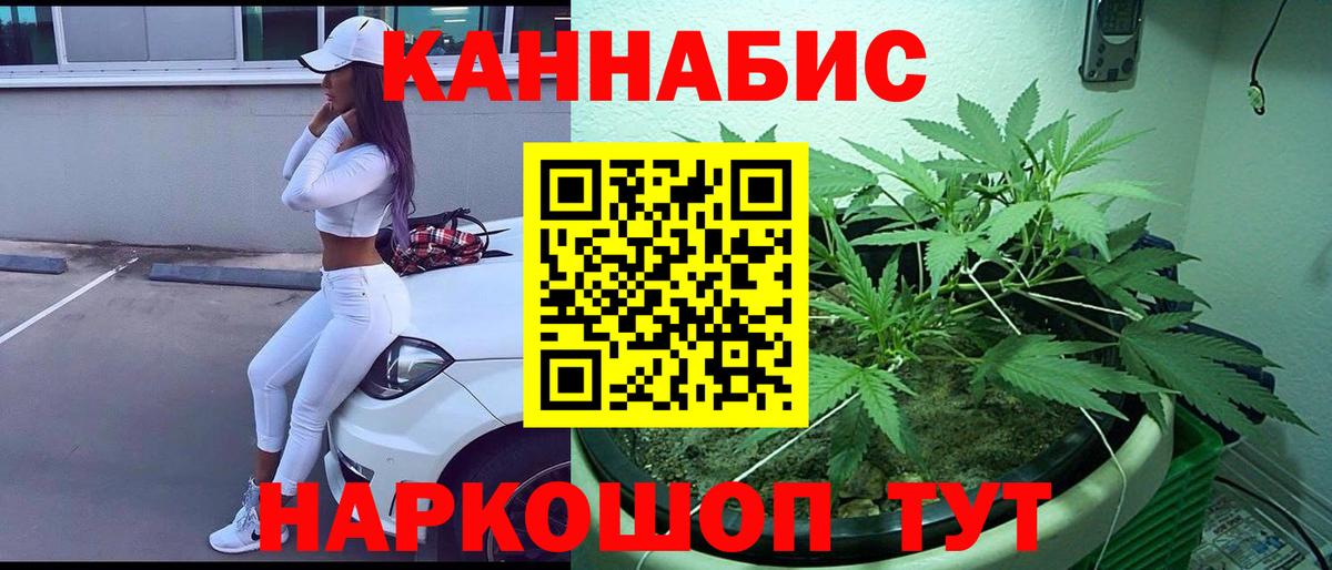 МАРИХУАНА тримм  Вход с VPN  Бошки Шишки тримм  МАРИХУАНА семена  Нововоронеж 